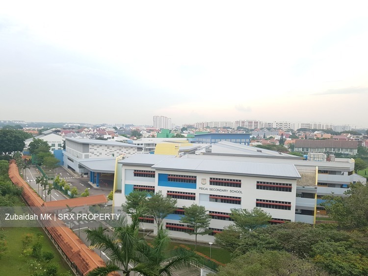 Blk 223 Serangoon Avenue 4 (Serangoon), HDB 4 Rooms #172790032